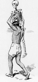 Squelette-Illustration.jpg