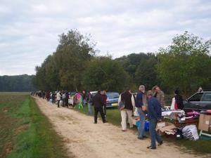 fraise-sept2007crea-vide-grenier-012.jpg