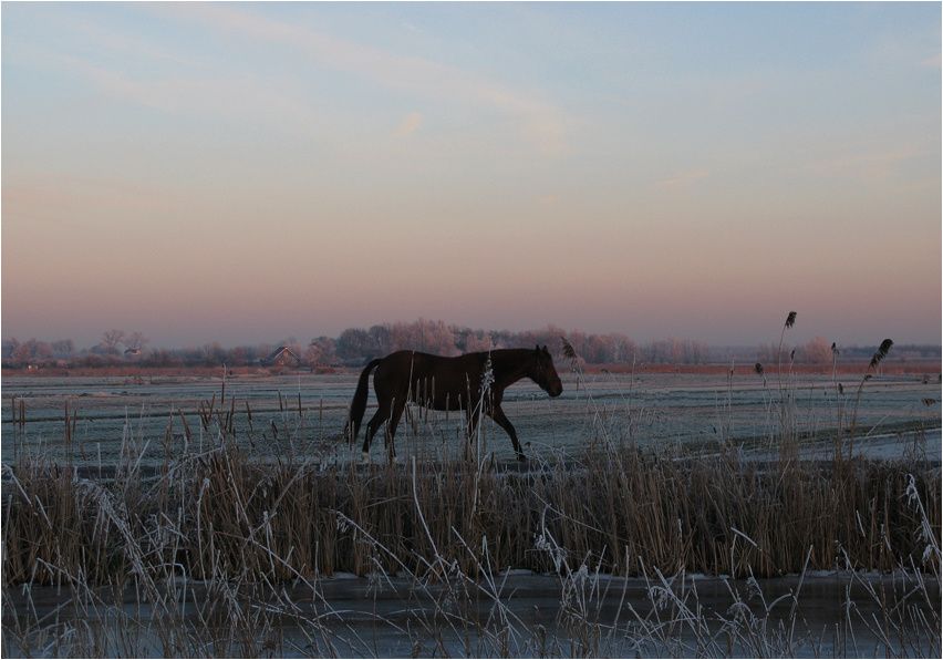 winter 0809a