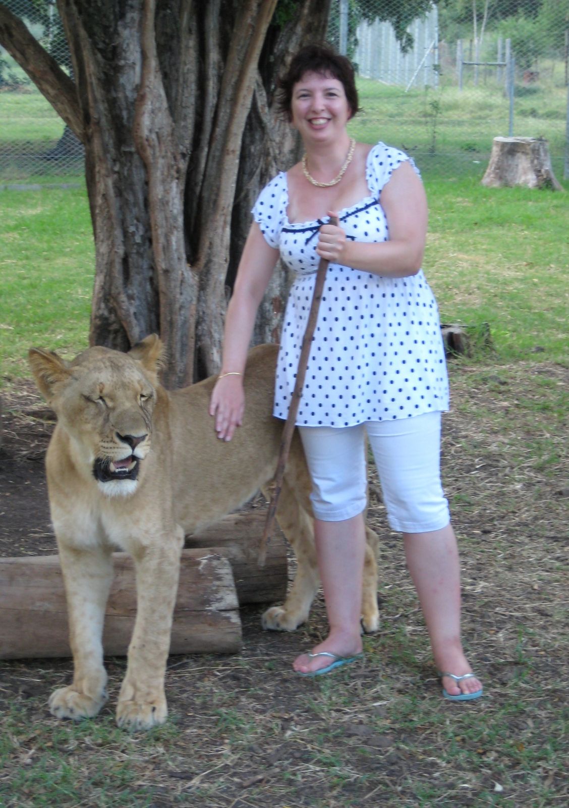 rencontres a l ile maurice