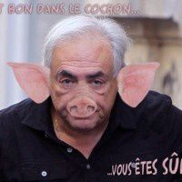 dsk-cochon-pig.jpg