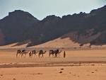 caravane-chameaux.jpg