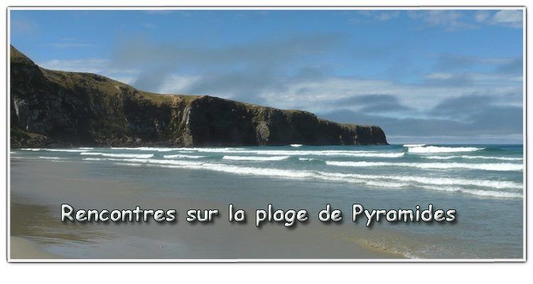 rencontre lion sur mer