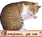cava.gif