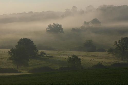 Paysage de brume Paysage de brume
