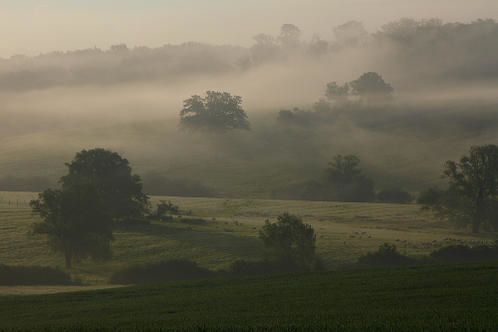 Paysage de brume