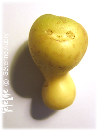 patate1