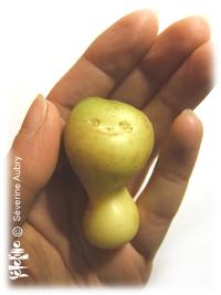 patate3