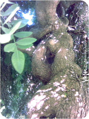 b22-