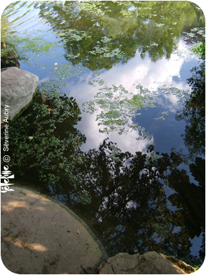 juin5