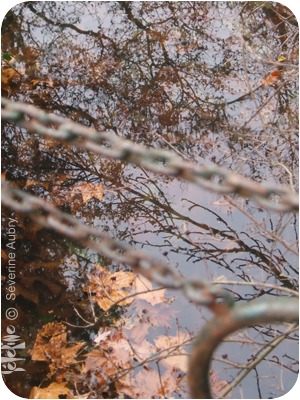 hiver10