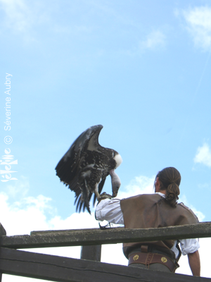 aigles15