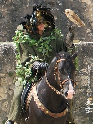 aigles3