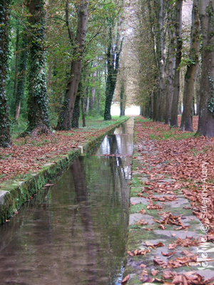 automne2