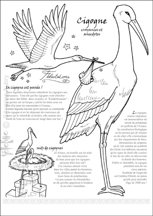 cigogne