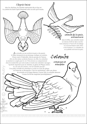 colombe