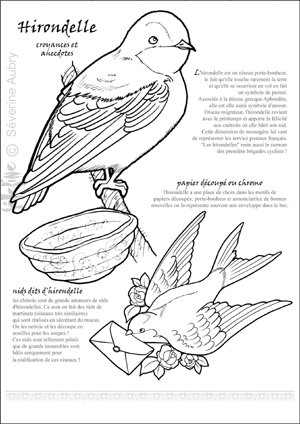 hirondelle