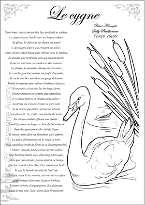 cygne