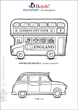 transport