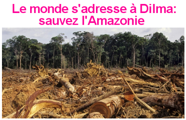 amazonie.png