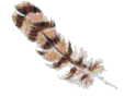 Plume.gif