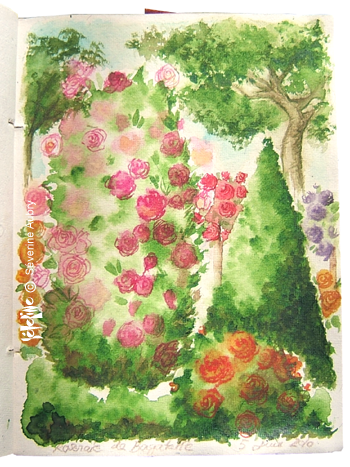 aqarelle-rose2