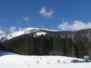 IMG_2433.jpg
