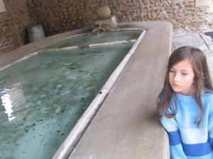 IMG_2564.jpg
