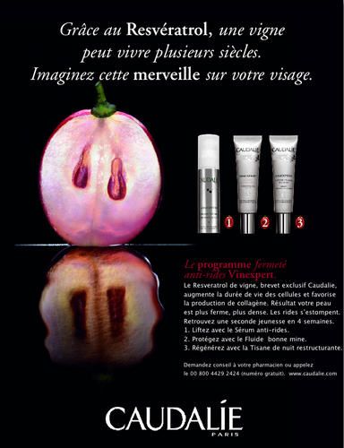 Vinexpert-copie-1.jpg