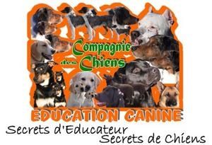 rencontre 2 chats adultes