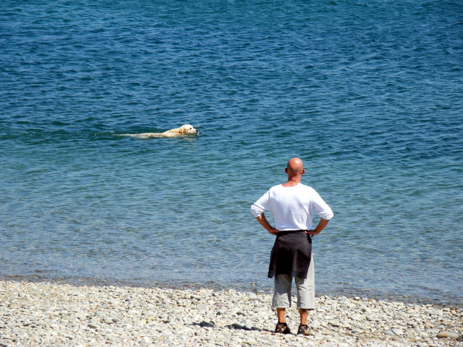 Port du Hable Omonville La Rogue