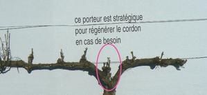 porteur1.jpg