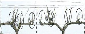 porteur2-copie-2.jpg