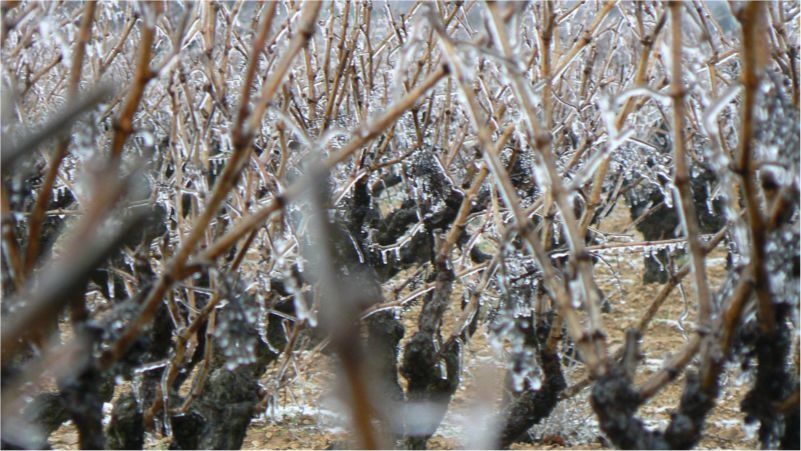 glace 20100108