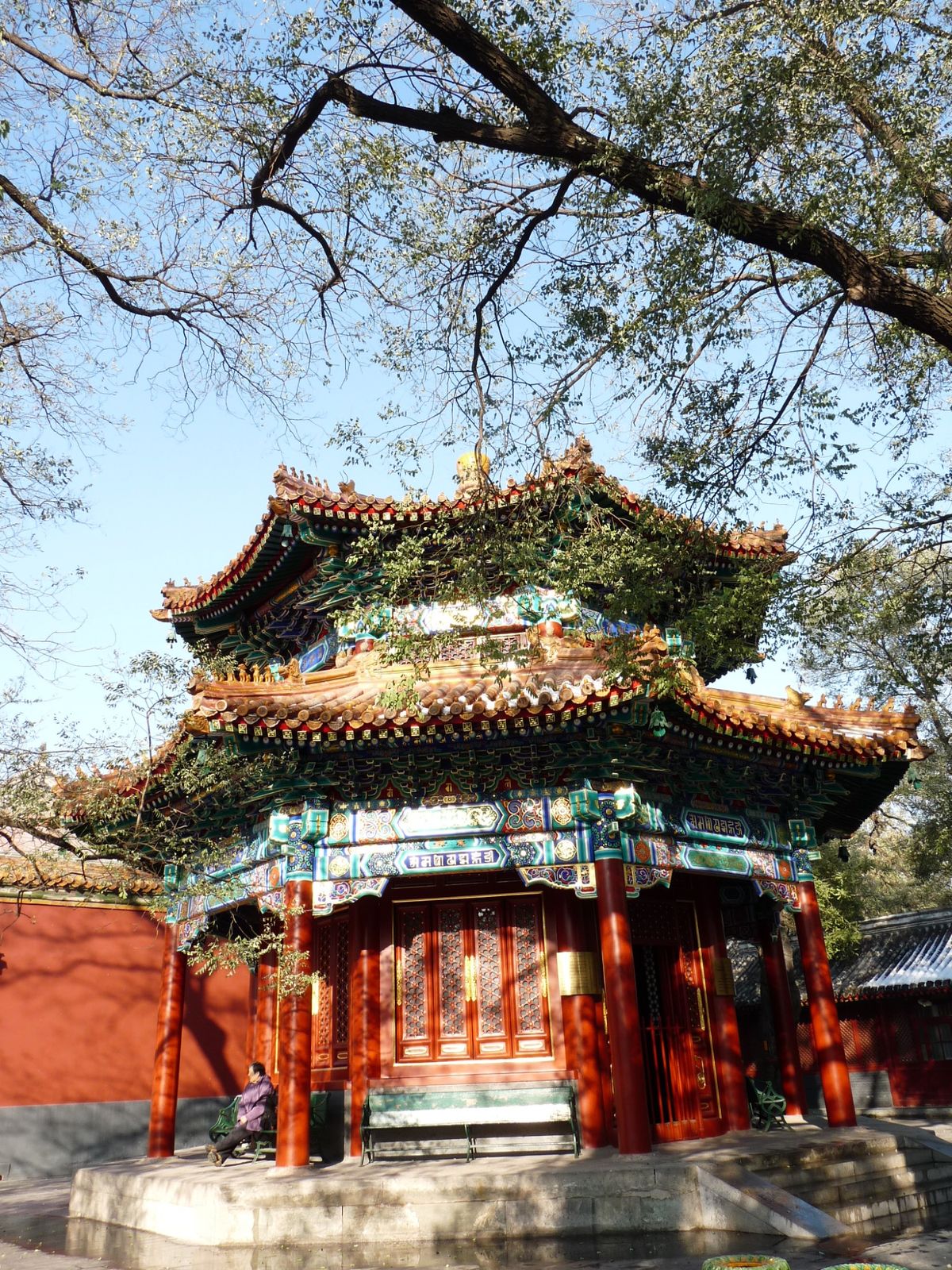 P1000289.jpg