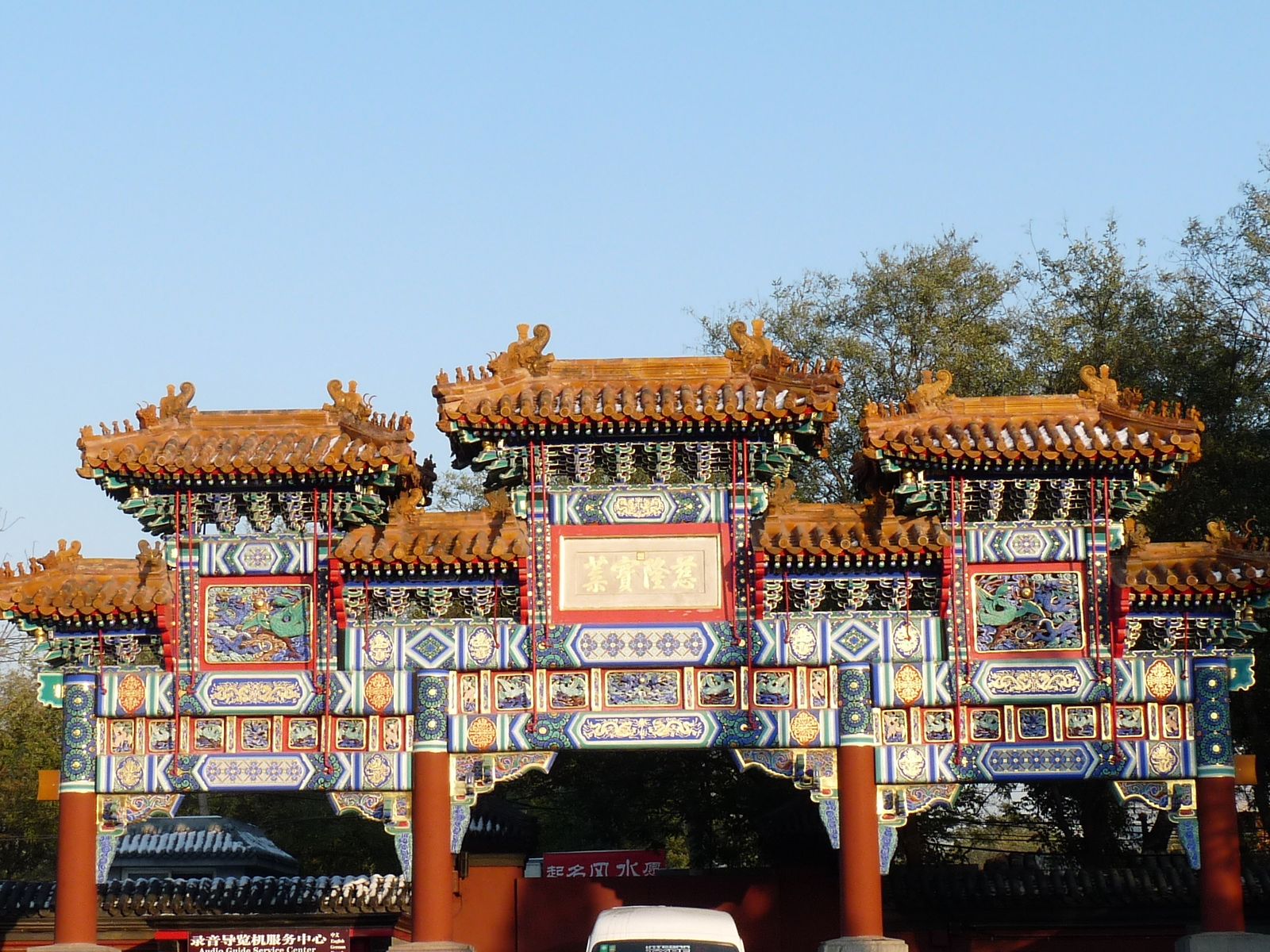 P1000317.jpg