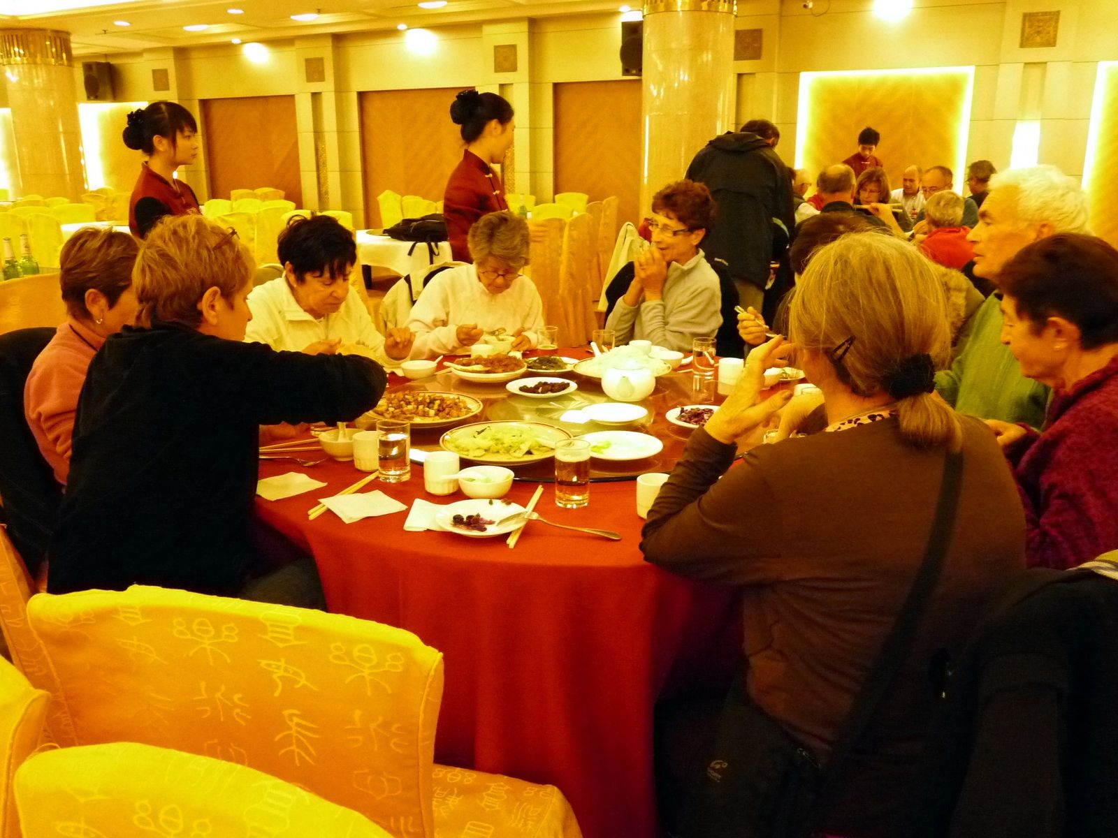 P1000491.jpg