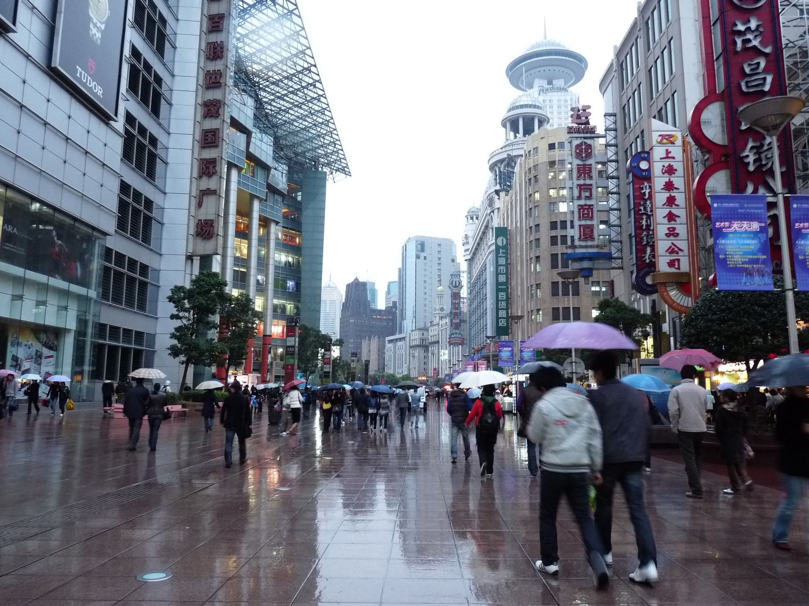 P1010644.jpg