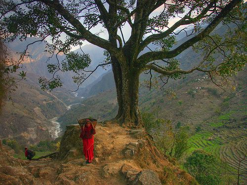458520625-my-porter-nepal.jpg