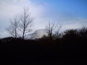 photos-essais-089-copie-1.jpg