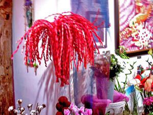 photos-fleuriste-2007-008.jpg