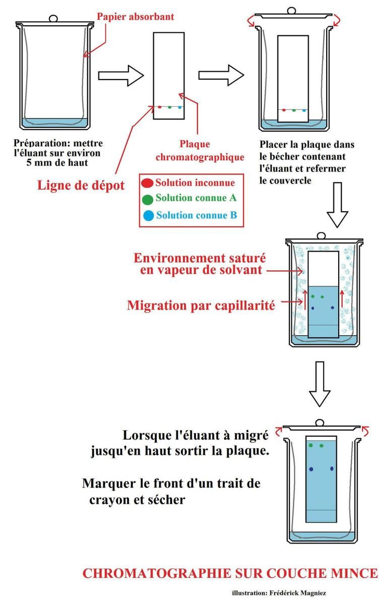 La CHROMATOGRAPHIE - biotechnologie