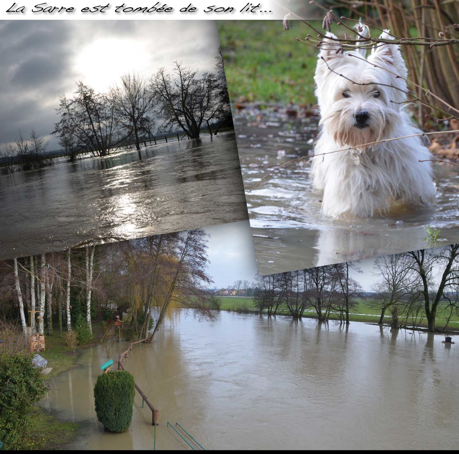 Innondations2 2013