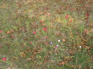 DSCN3005.JPG