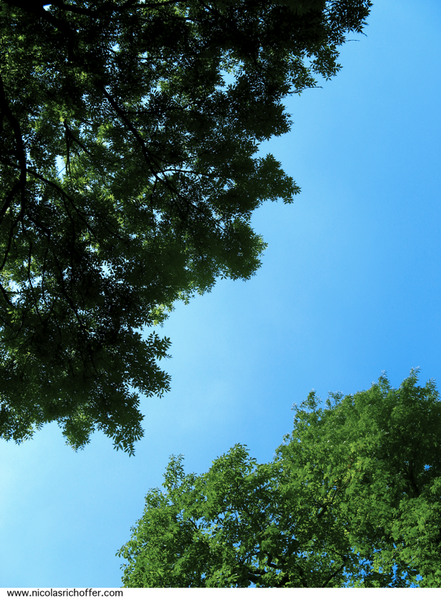 BUTTES.CHAUMONT.1652.png