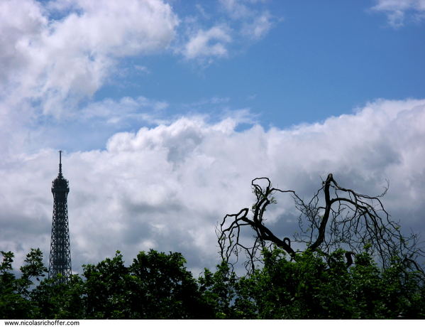 TOUR.EIFFEL.0622.png