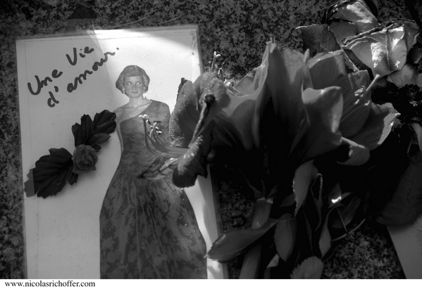 LADY.DIANA.0061.png