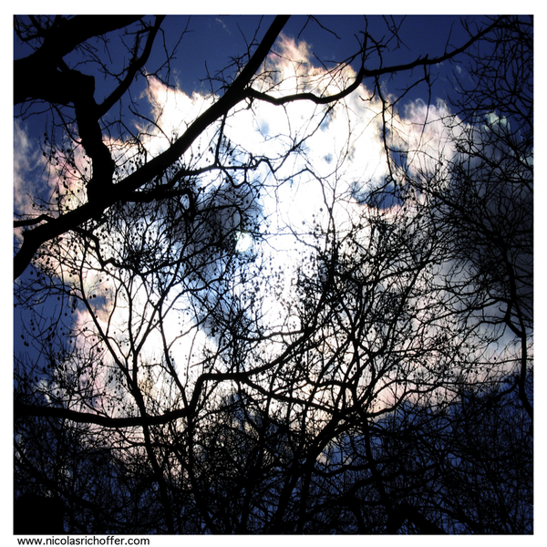 CENTRAL.PARK.3715.png