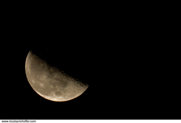 LUNE.500MM.2335.png