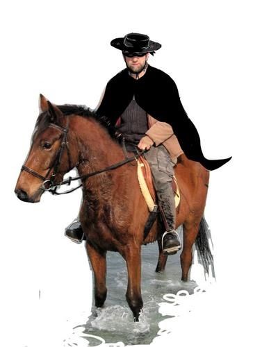 zorro-copie-1.jpg